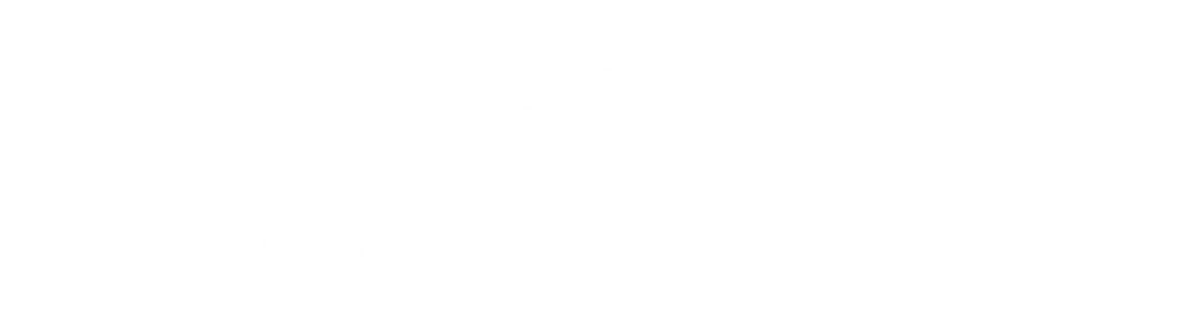 V-Guard